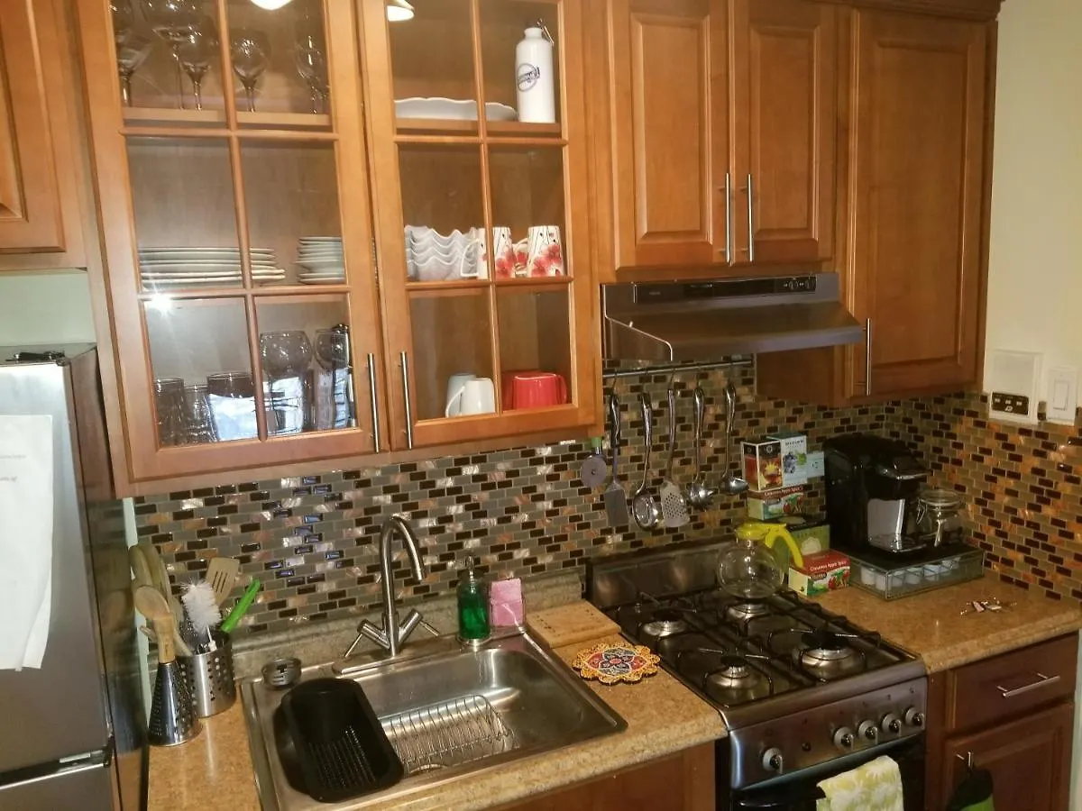 Cozy Fully Furnished Apartment Near Prospect Park & Public Transport New York